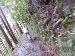 s-P6100229toei