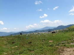 s-P8130216shikoku