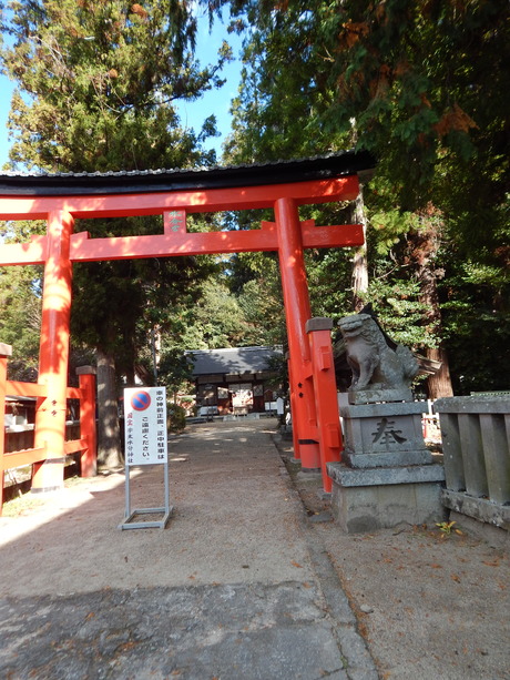 DSCN7307