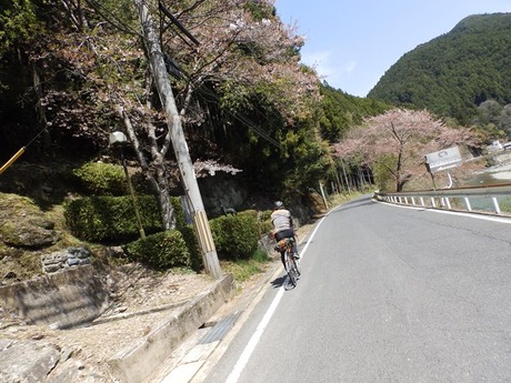 s-P4130113higashiyo