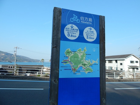 DSCN5237