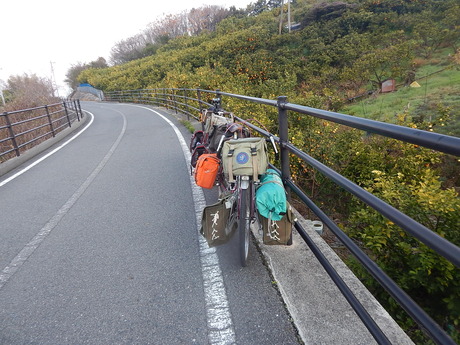 DSCN5012