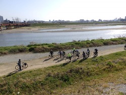 s-P3190350shimano