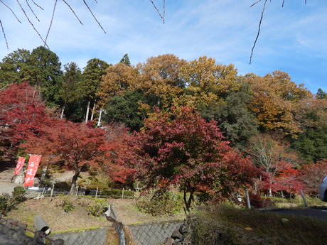 DSCN6923