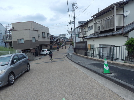 DSCN7447