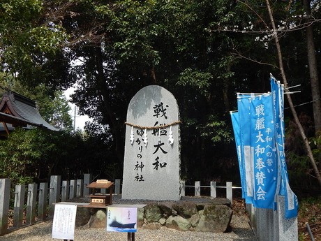 DSCN5906