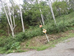 s-P9180807takabocchi