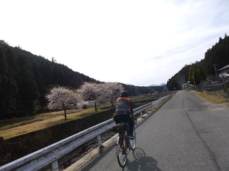 s-P4130412higashiyo