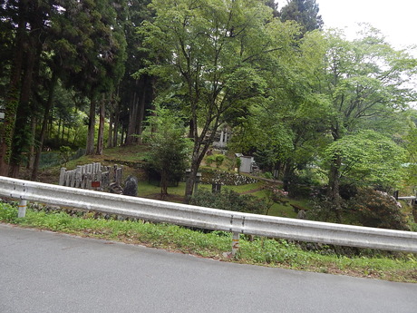 DSCN7703