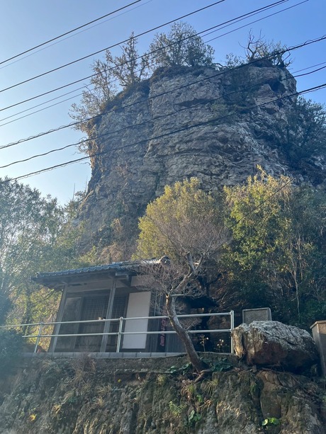 tacsuo002