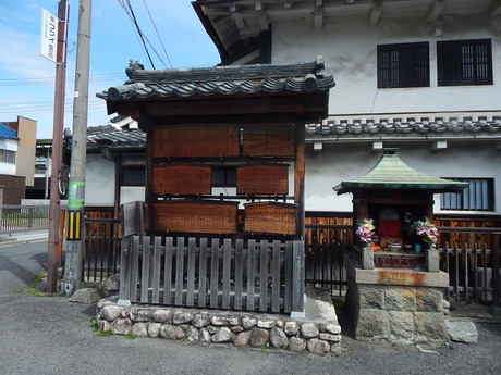 DSCN7059