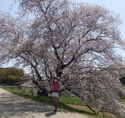 s-P4010253 (3)nara