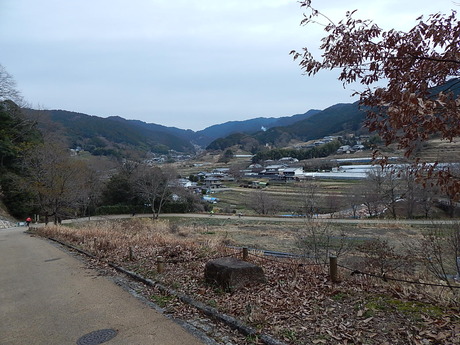 DSCN6716