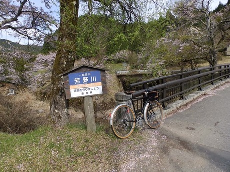 s-P4130400higashiyo