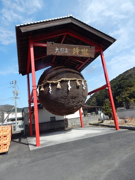 DSCN3851