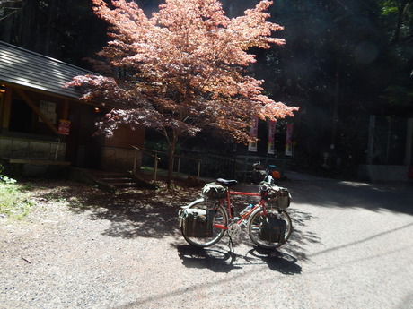 DSCN0243