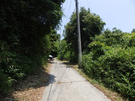 s-P6160439awaji