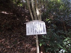 s-P9020163mochio