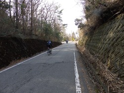 s-P3110439