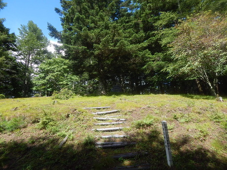 DSCN1175