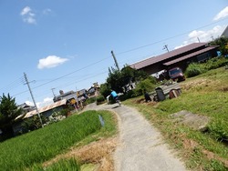 s-P7230583tawaramoto