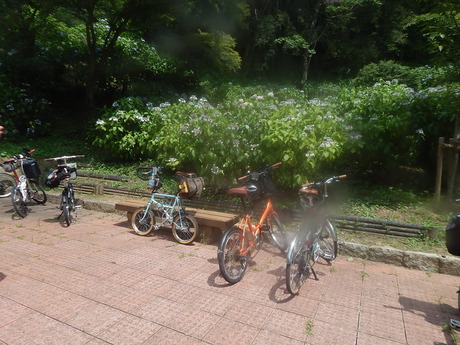 DSCN8271