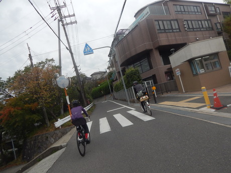 DSCN5053