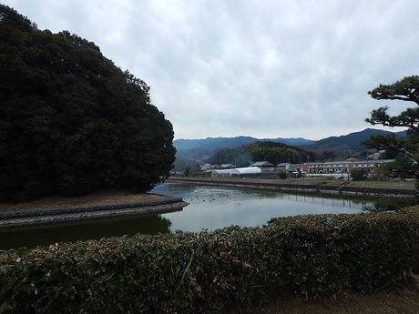 DSCN6669