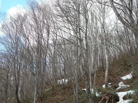 DSCN5873