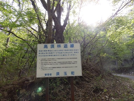 s-P50510550505