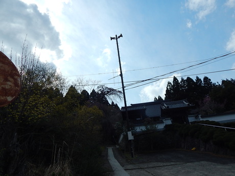 DSCN7891