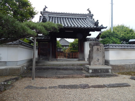 DSCN7734