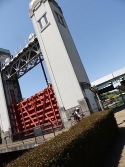 s-P4220126fushimi