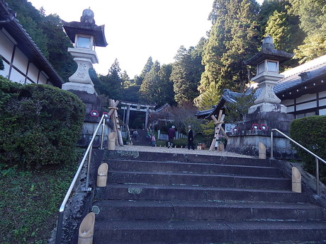 DSCN5618