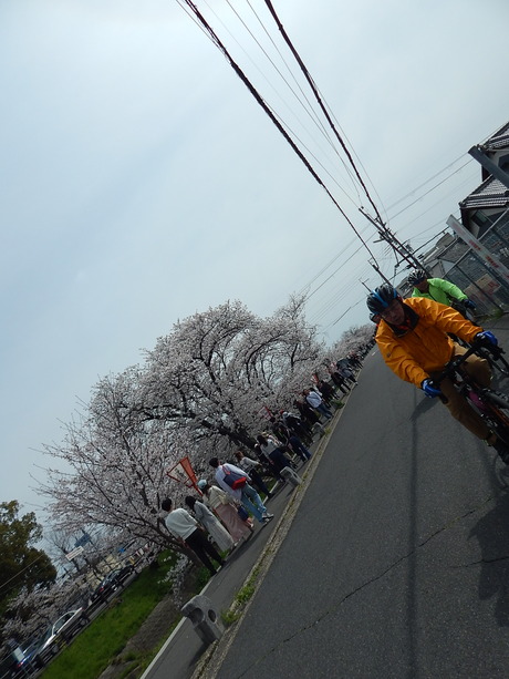 DSCN8506