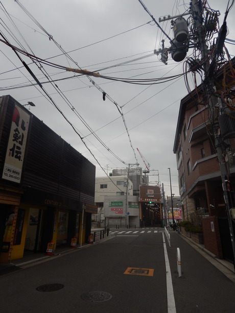 DSCN5207