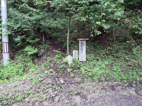 DSCN0915