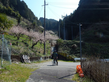 DSCN7081