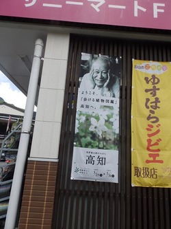s-P8130313shikoku