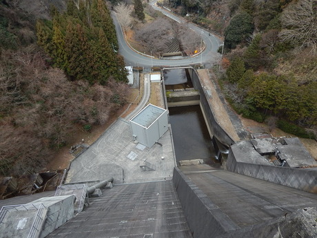 DSCN5860