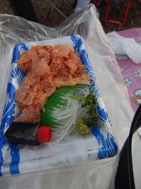 DSCN6974