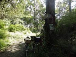 s-P9180829takabocchi
