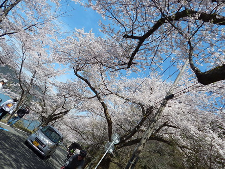 DSCN8838