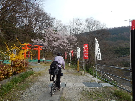 DSCN6015