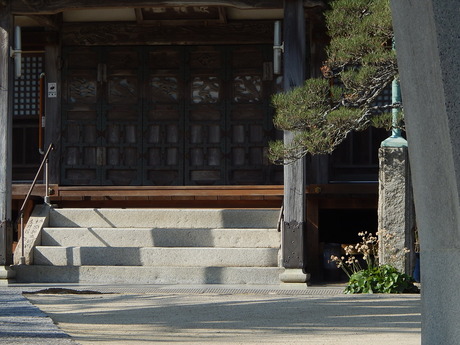 DSCN3380