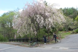 s-IMG_0799kaida