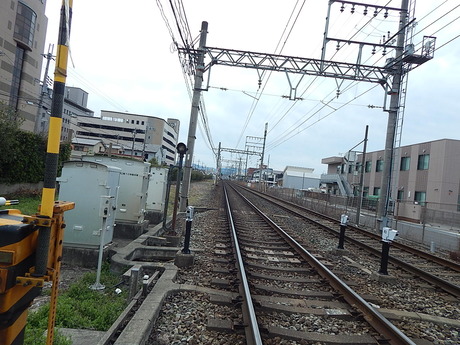 DSCN6623