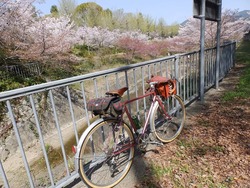 s-P4010281nara