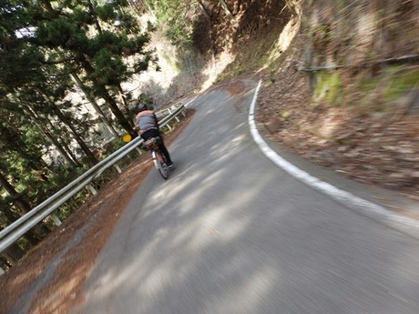 s-P4130387higashiyo