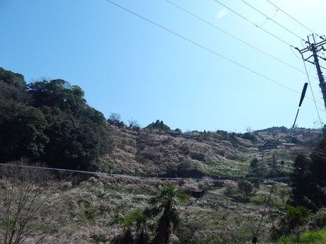 DSCN7264